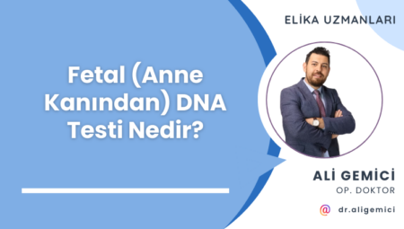 Fetal (Anne Kanından) DNA Testi Nedir?